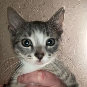 Meet your Posher, Brandie